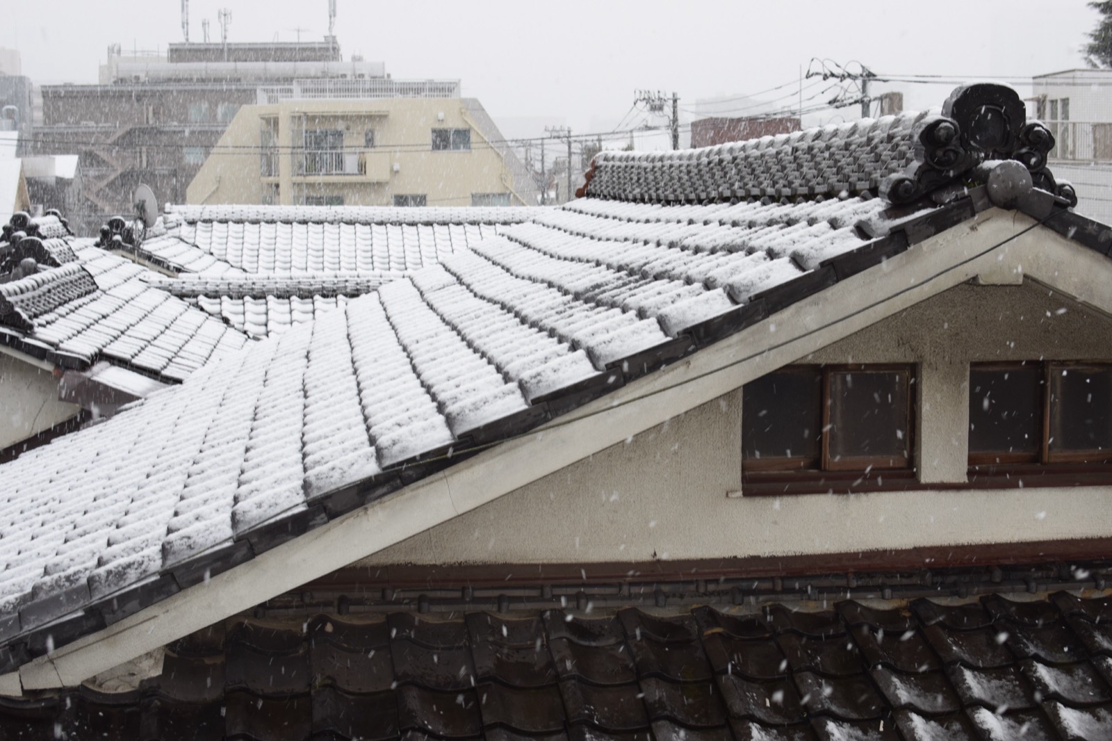 木の佇まい